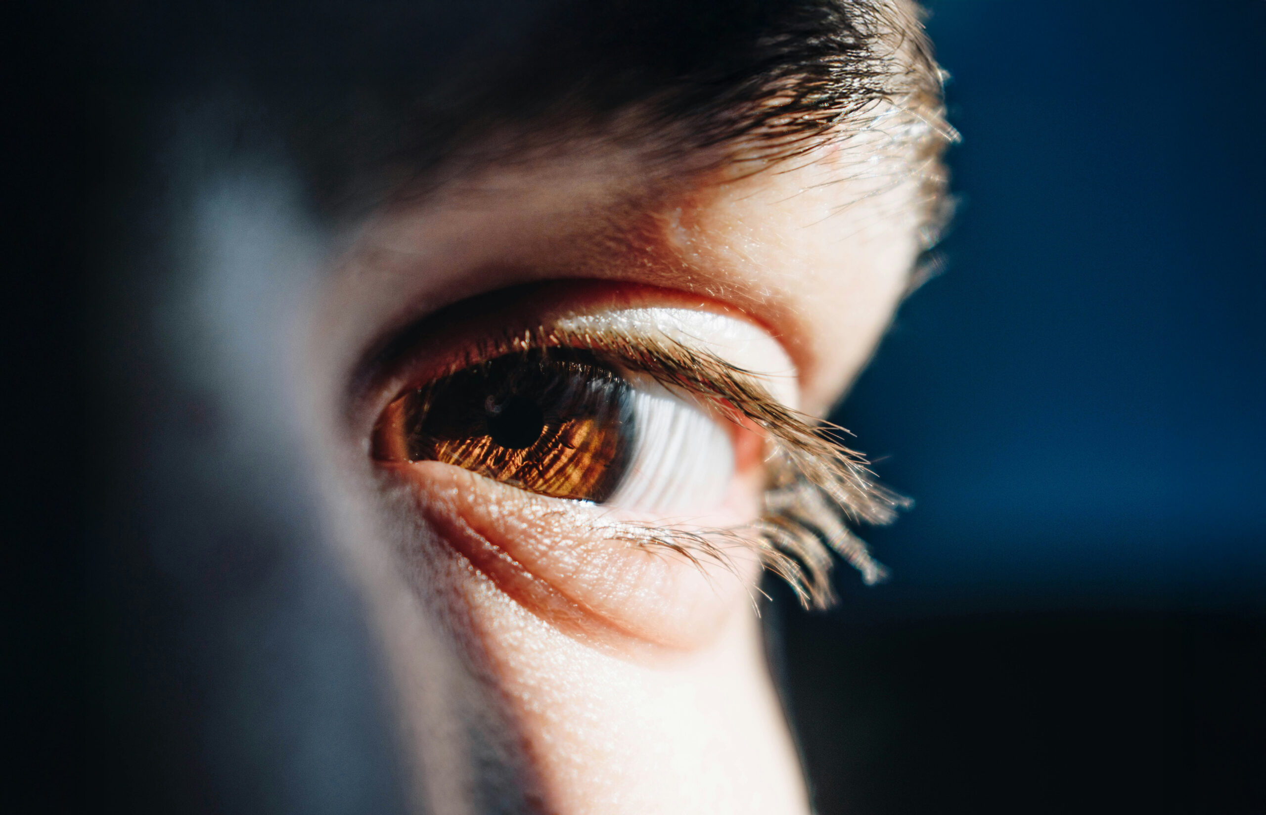 bacila-vlad-WTThc6UmwEI-unsplash