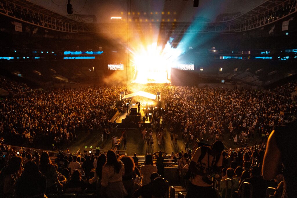 A massive stadium crowd illuminated at a live concert, demonstrating the behavioural science of in-group belonging and the scale of emotional brand connection.